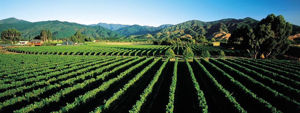 Marlborough Vintners Accommodation Бленем Экстерьер фото