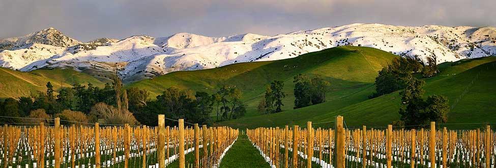 Marlborough Vintners Accommodation Бленем Экстерьер фото