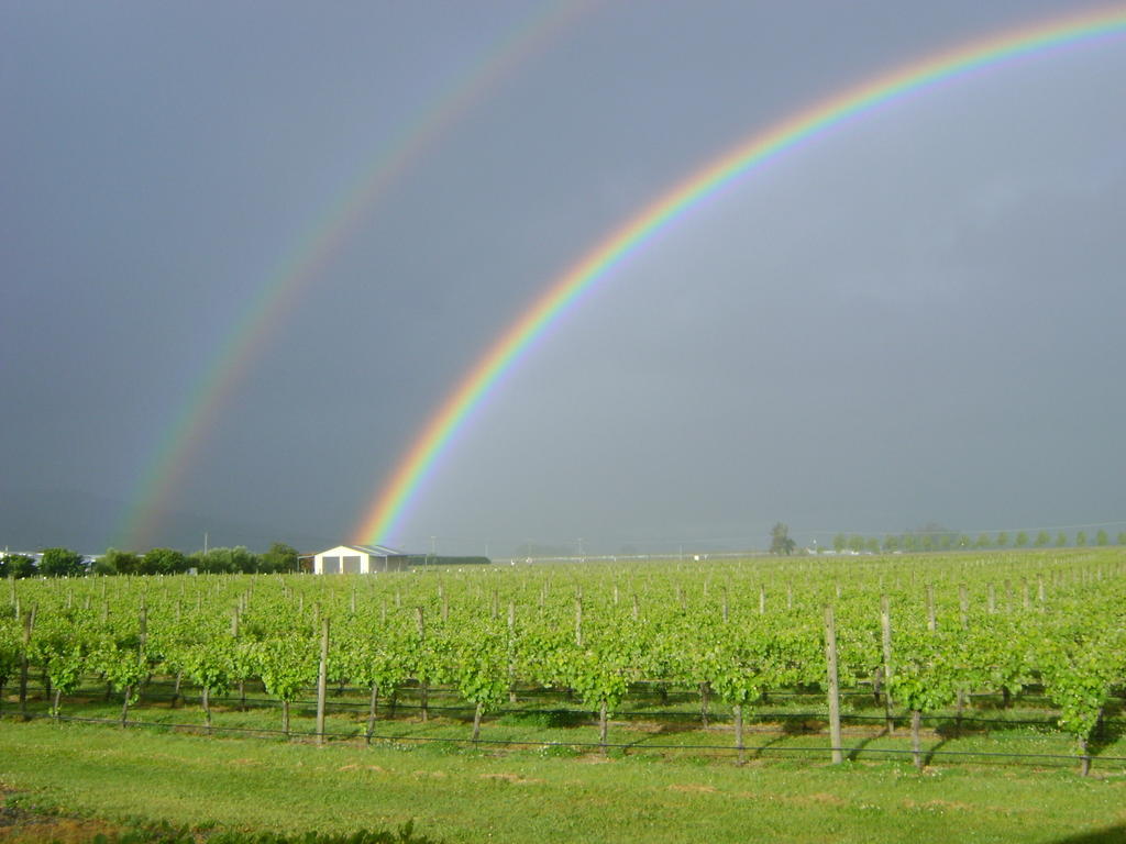 Marlborough Vintners Accommodation Бленем Экстерьер фото